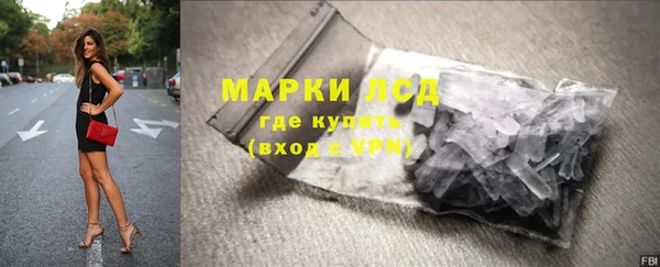 крисы Алзамай