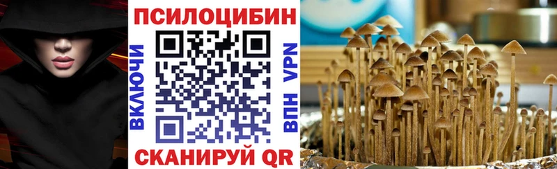 Псилоцибиновые грибы Cubensis  наркотики  Кимовск 