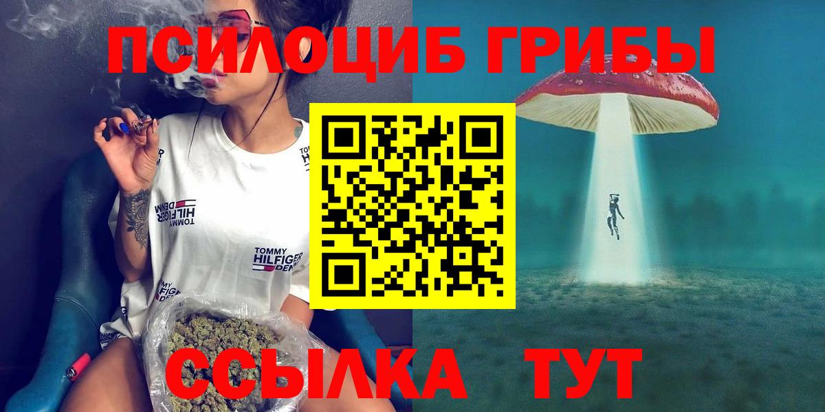 Псилоцибиновые грибы мицелий  Вход с VPN  сколько стоит  Кимовск 